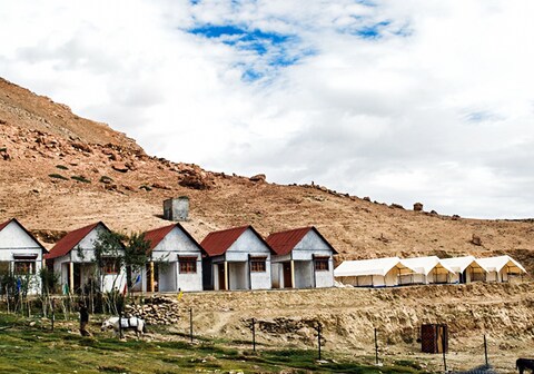 Tsomoriri Camps and Resort | Lake-view Tents