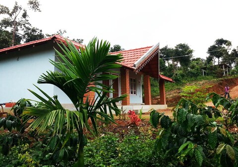 Forest Homestays - Sakleshpur