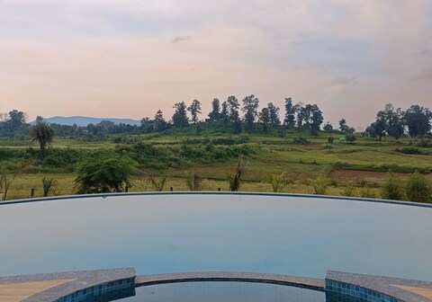 The Golden Woods Resort