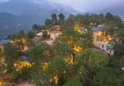 Jungle Lodge Resort & Spa