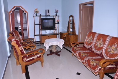 Green Gold Stay Home