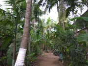 Sharang Holiday Homes, Alibagh Sharang Holiday Homes, Alibagh
