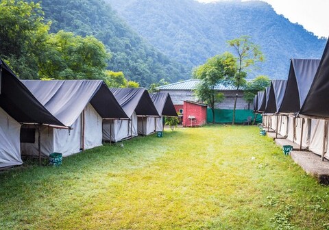 The Wildlife Airavat