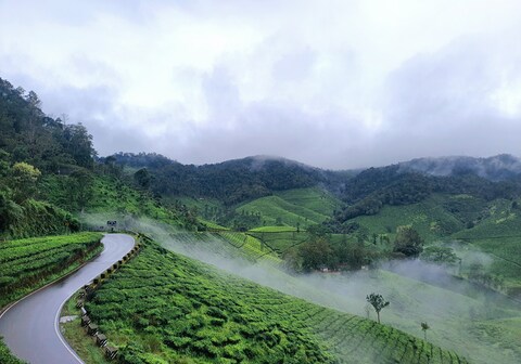 CARDAMOM ROCK RESORTS