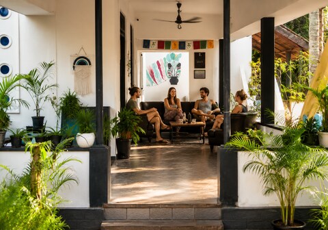 Zebra Hostel