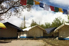 Nubra Delight Camp,Nubra, Leh Nubra Delight Camp,Nubra, Leh