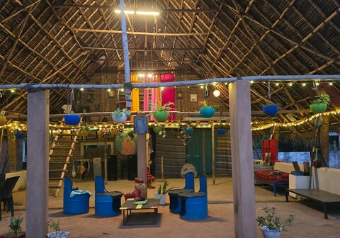 WoodPacker Hostel | Rooms & Dorms