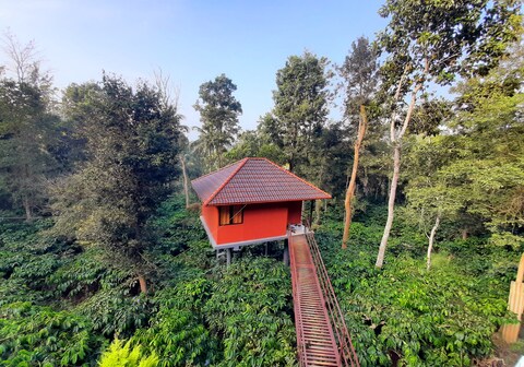 VMJ Wild Stay
