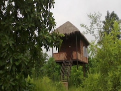Muba's Machaan, Barnawapara Muba's Machaan, Barnawapara