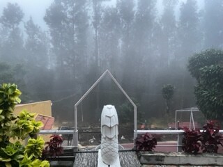 Natures cradle resort