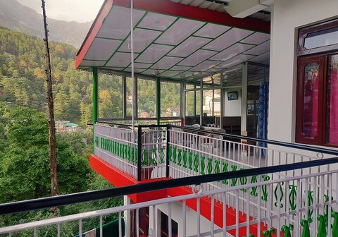 Pine wood Mcleodganj