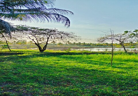 Harmony Haven, Udawalawe