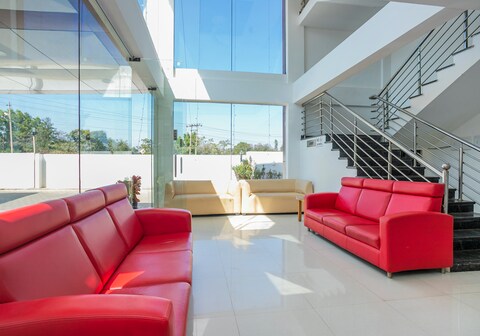 Collection O Cosmopolitan