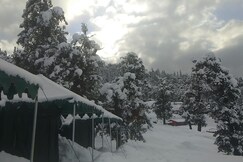 Chopta Valley Camping | Rooms & Guided Treks, Karanprayag Chopta Valley Camping | Rooms & Guided Treks, Karanprayag