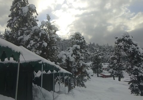 Chopta Valley Camping | Rooms & Guided Treks