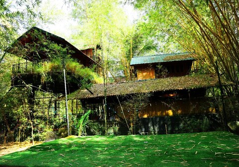 Green Tree House With Pool