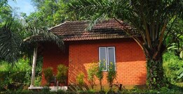 Chaliyar Palm Ghats, Malappuram Chaliyar Palm Ghats, Malappuram