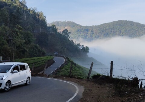 CARDAMOM HILLS