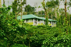 Hidden Creek Coorg, Coorg Hidden Creek Coorg, Coorg