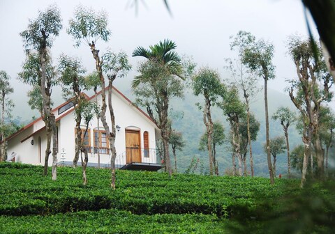 Tea Terrace Vythiri Resort