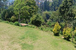 White Fern, Coonoor White Fern, Coonoor