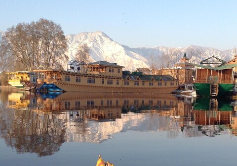 Butterfly Group of Houseboat