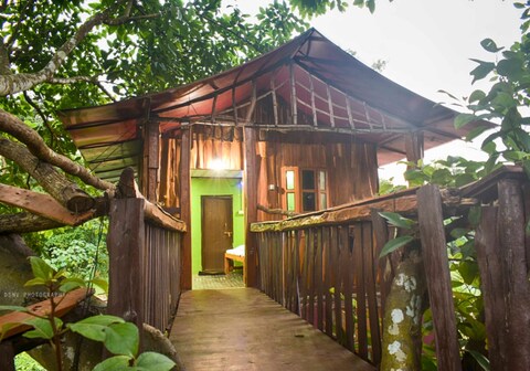 Dandeli Rangers Camp