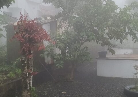 Chirackal Gardens Mountain View, Cumbummettu