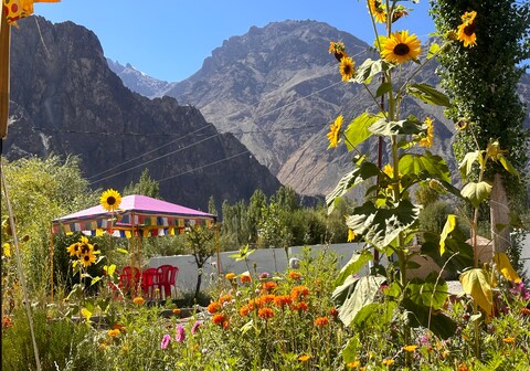Himalayan Ibex Camp | Sand Dunes Hunder
