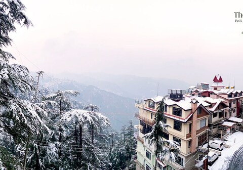 The Croft BNB, Shimla
