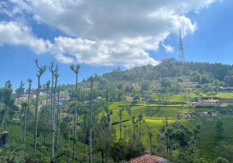 Sai premasharanalaya