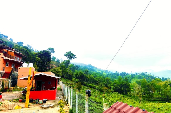 Humming Bird by Brown Tree Resorts