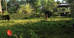 Honey Pot Home Stay, Munnar Honey Pot Home Stay, Munnar
