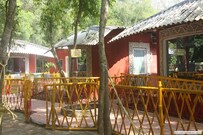 Tajpur Nature Camp, Tajpur Tajpur Nature Camp, Tajpur