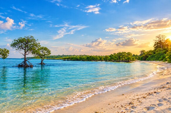 COCONHUTS BEACH RESORT