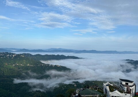 The Local Guest House