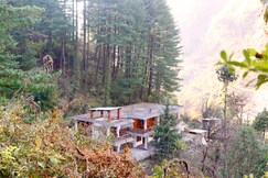 The Woods - Tirthan Valley, Gushaini The Woods - Tirthan Valley, Gushaini