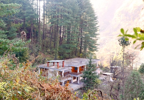 The Woods - Tirthan Valley