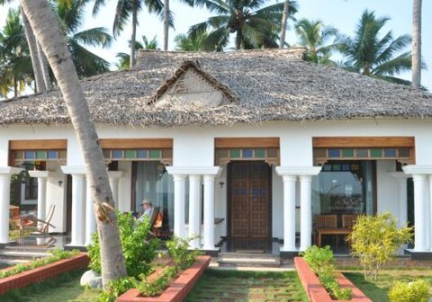 Palmtree Bungalow