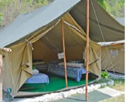 Camp Wildex Rishikesh, Rishikesh Camp Wildex Rishikesh, Rishikesh
