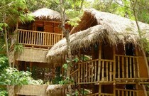 KALINDI RIVER RESORT, Wayanad KALINDI RIVER RESORT, Wayanad