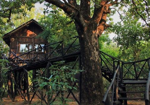 Tree House Hideaway
