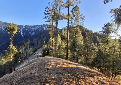 DHAR VALLEY HOMESTAY