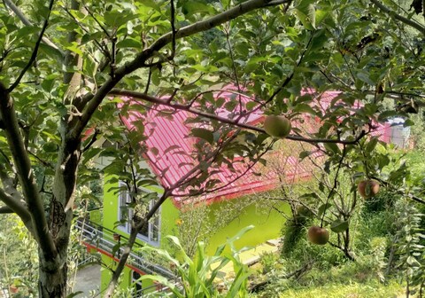 Apple Blossom Hideaway Narkanda