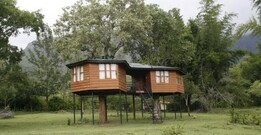 Forest Hills Guest House, Nilgiri Forest Hills Guest House, Nilgiri