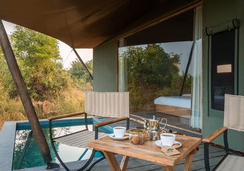 Trees N Tigers Tadoba National Park