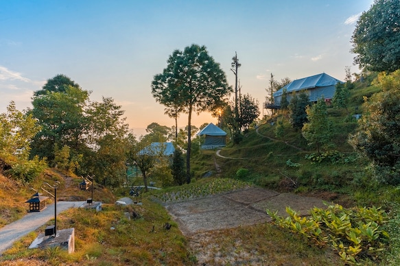 Seed at Queens Meadows, Ranikhet