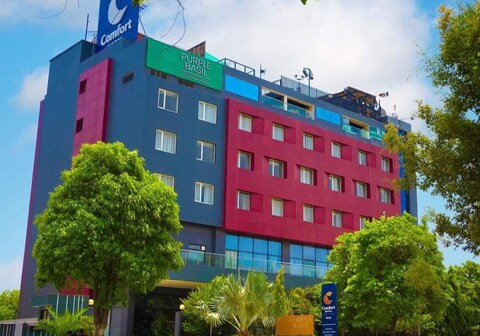 Comfort Hotel Vista