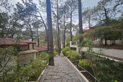 Tapovan Resorts, Kasauli Tapovan Resorts, Kasauli