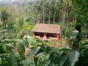 Field Side Homestay - Kagodlu Post, Coorg Field Side Homestay - Kagodlu Post, Coorg